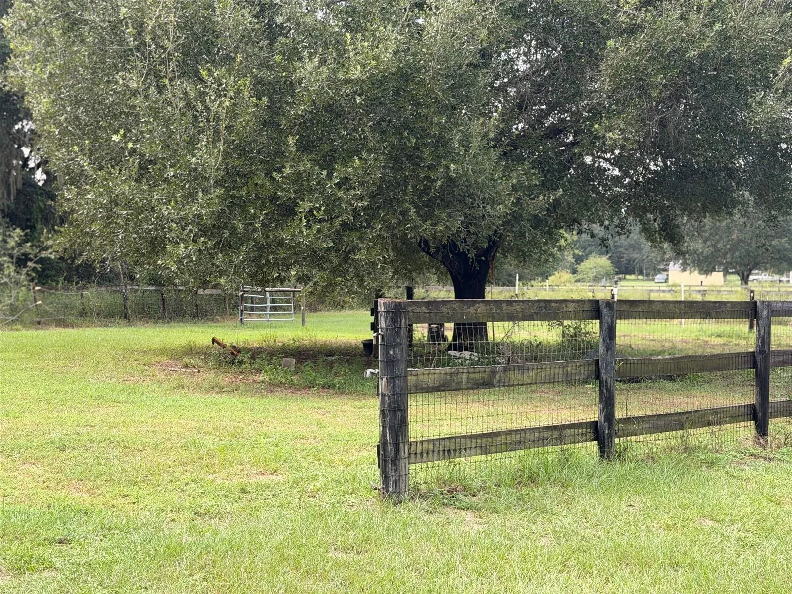 Paddock with tree at side of property.