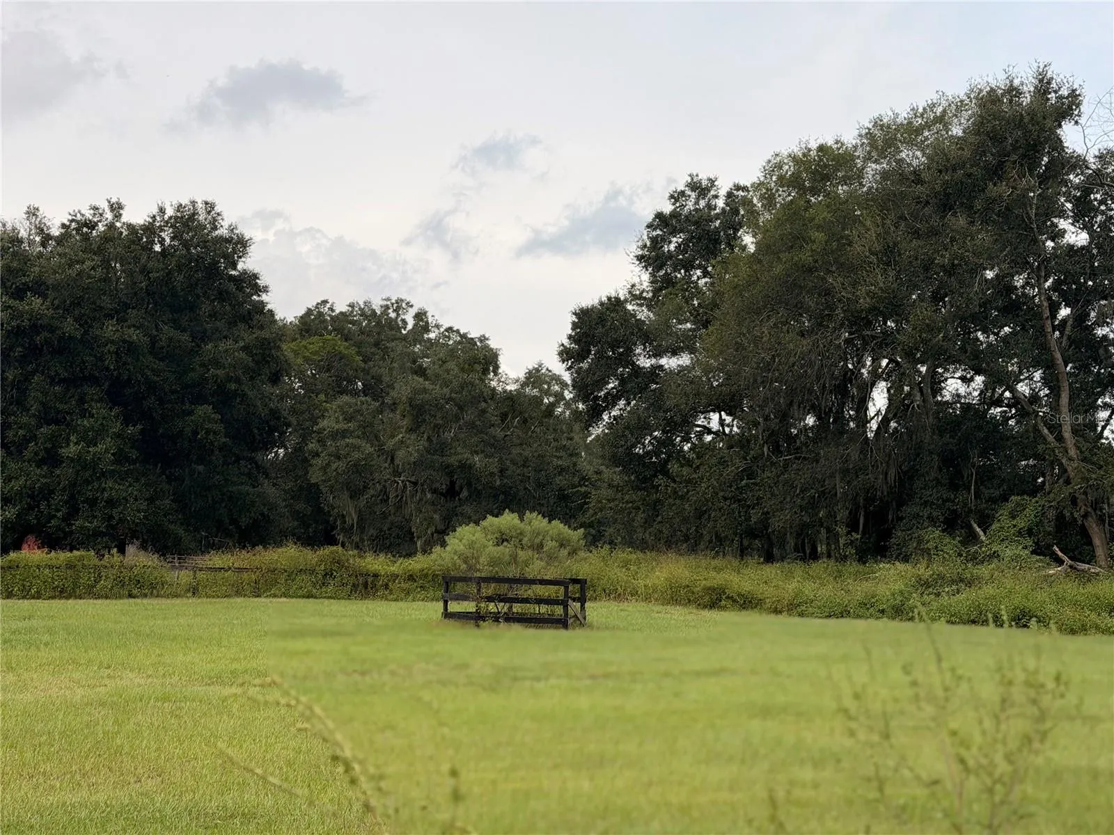 Another view of fenced paddock at rear of property.