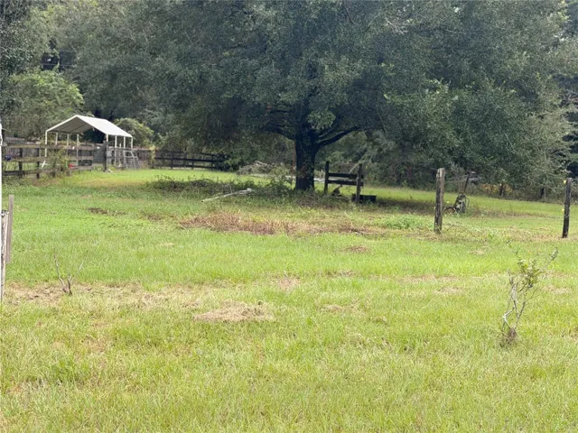 Another view of side paddock with tree.
