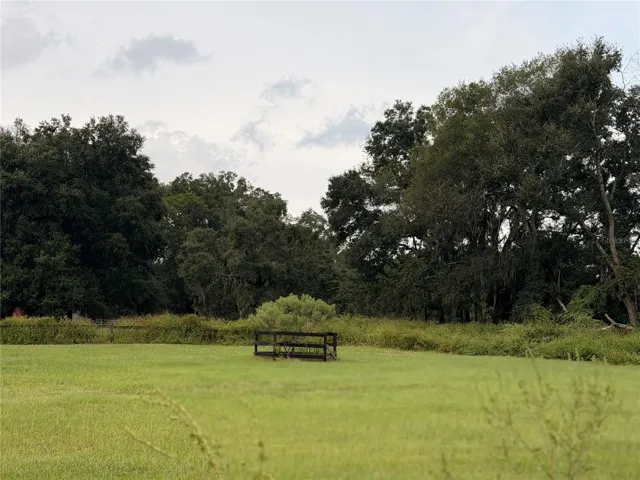 Another view of fenced paddock at rear of property.