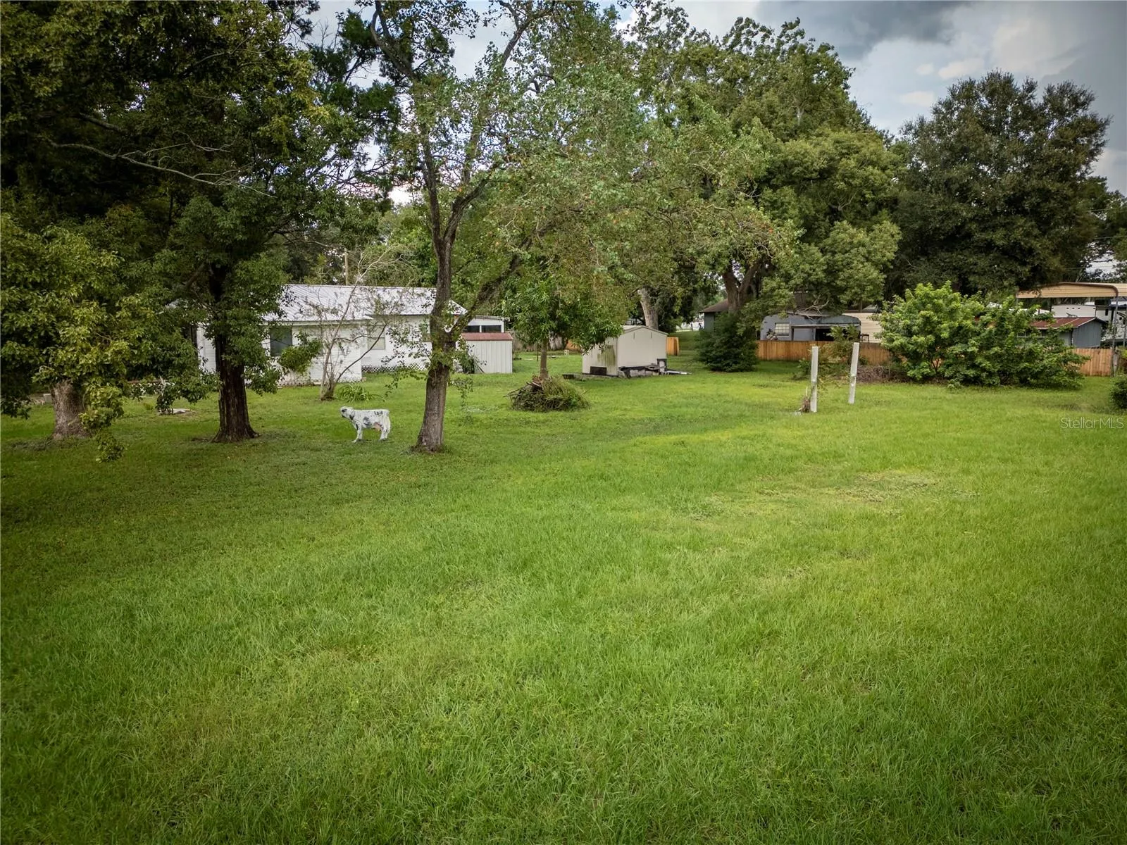 Yard