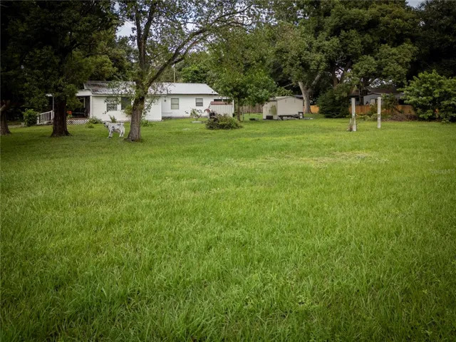 Yard