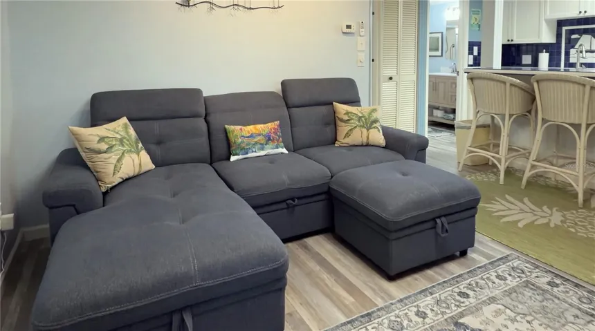 Sleeper Sofa