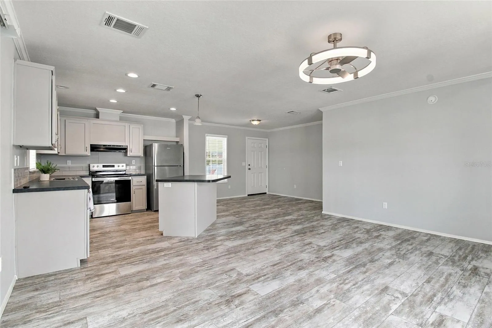 Open Concept Kitchen, LR & DR