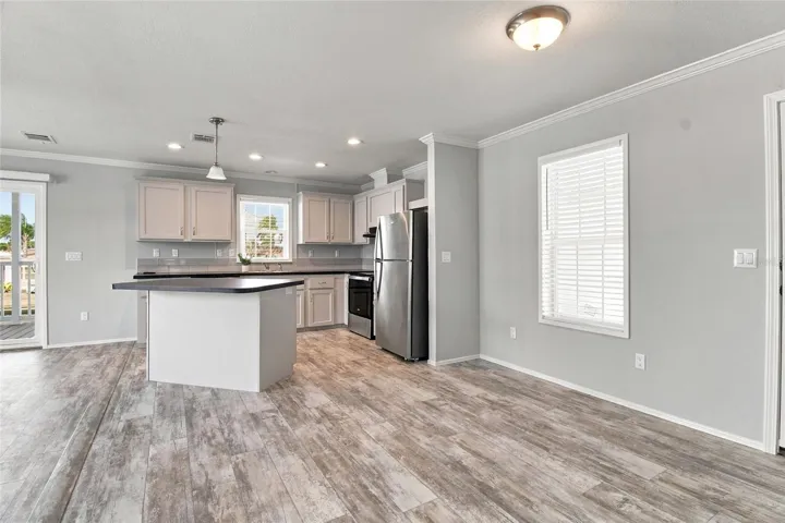Entrance into Open Concept Kitchen, LR & DR
