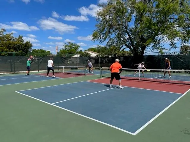Enjoy Pickleball