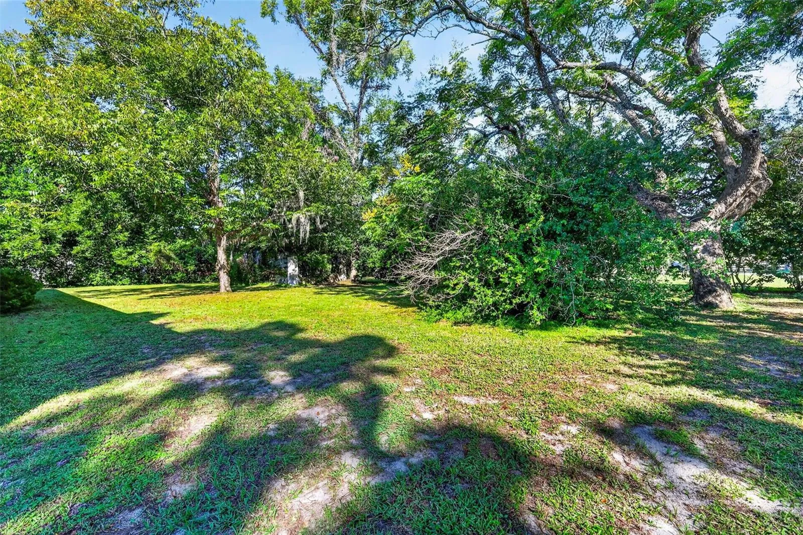 Back yard