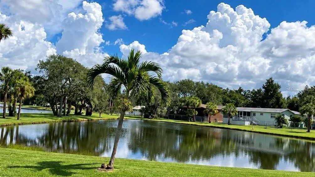 Lake rear view - virtually enhanced