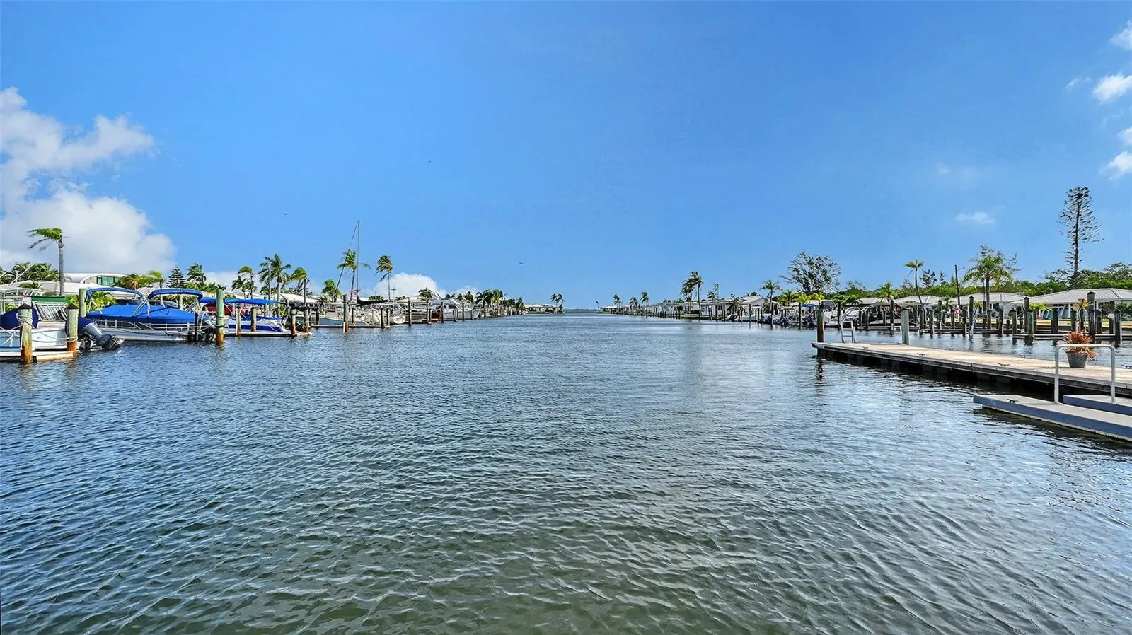 The Association Marina.