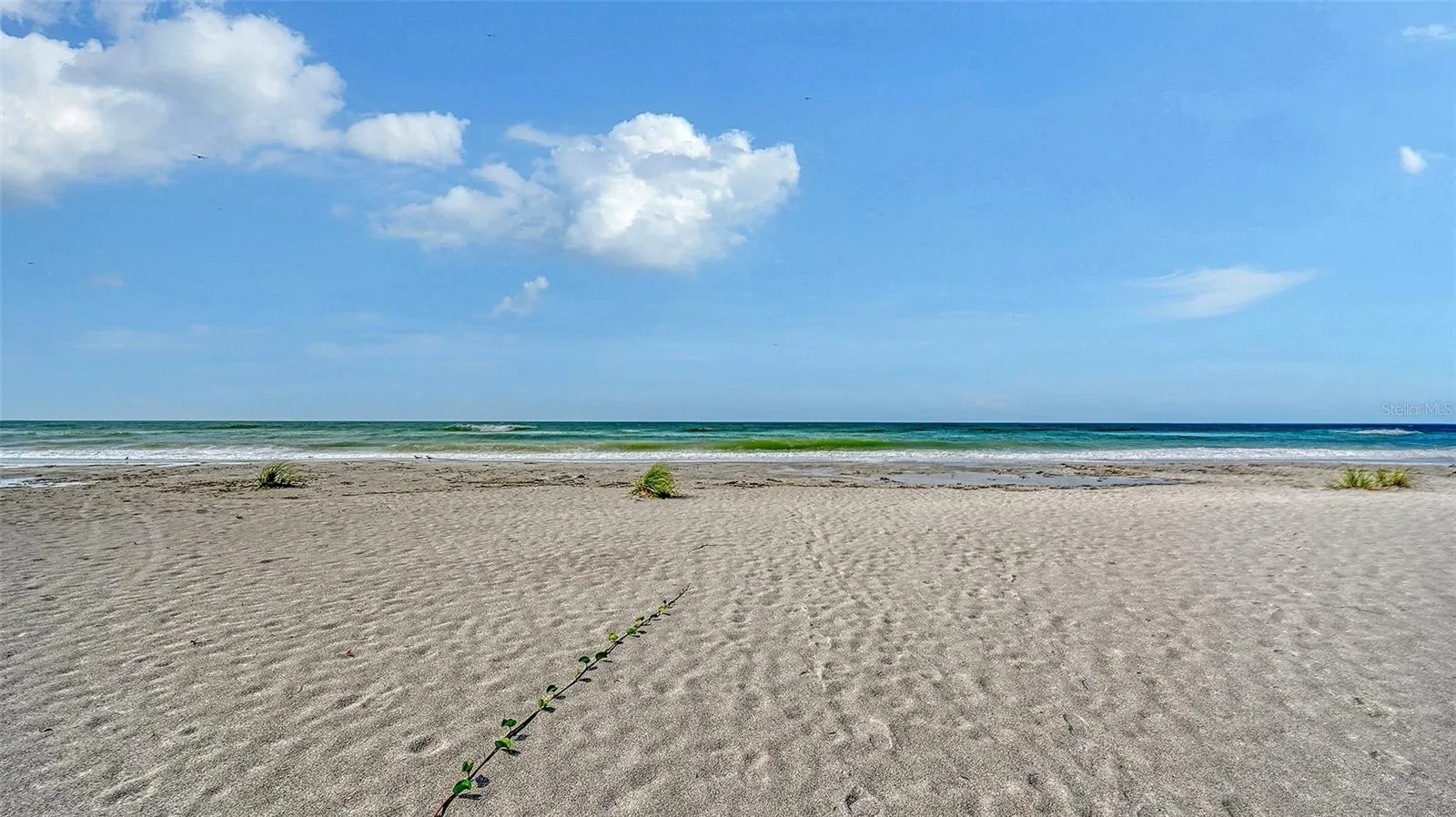 The beach across the street.
