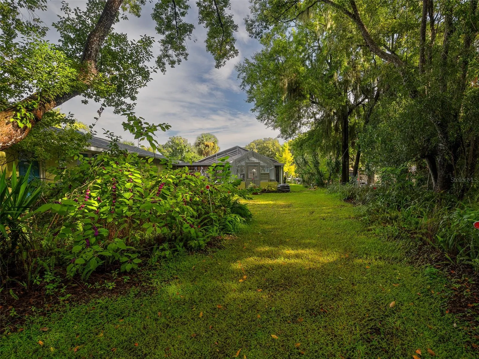 Lush Back Yard