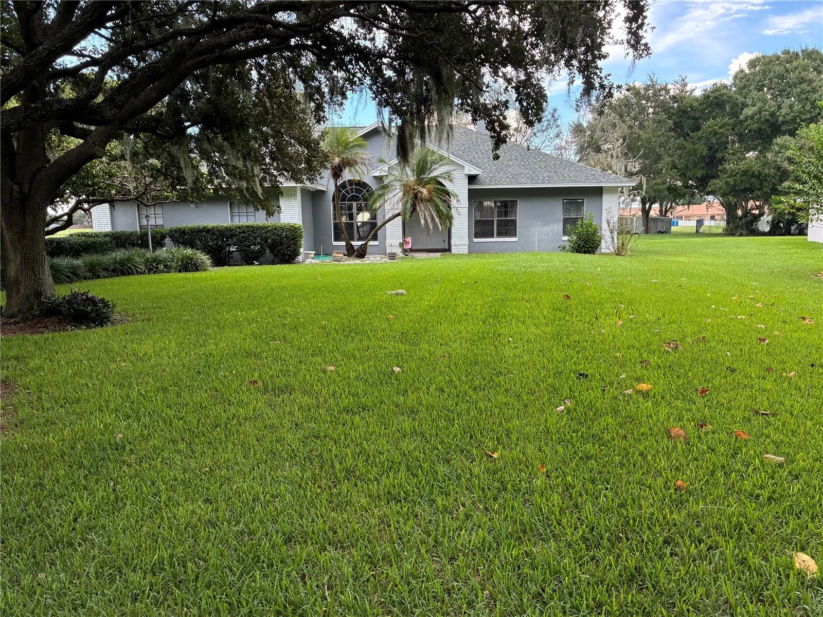 FRONT YARD
