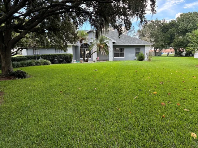 FRONT YARD