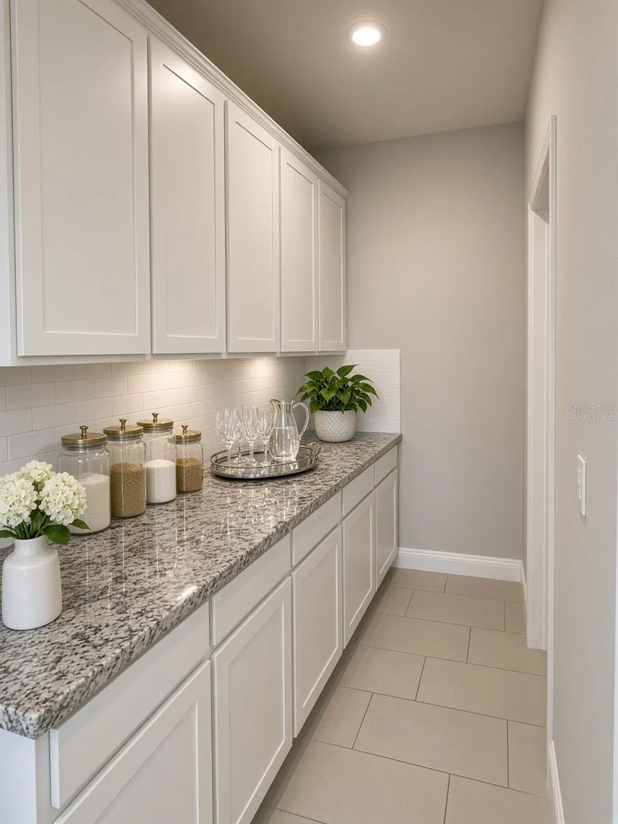 Butler's area-Virtually Staged