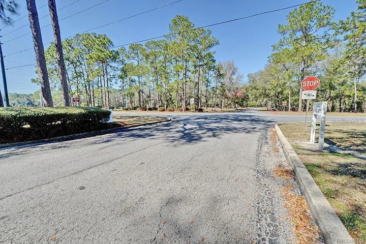 Paved access drive connecting the site to the road.