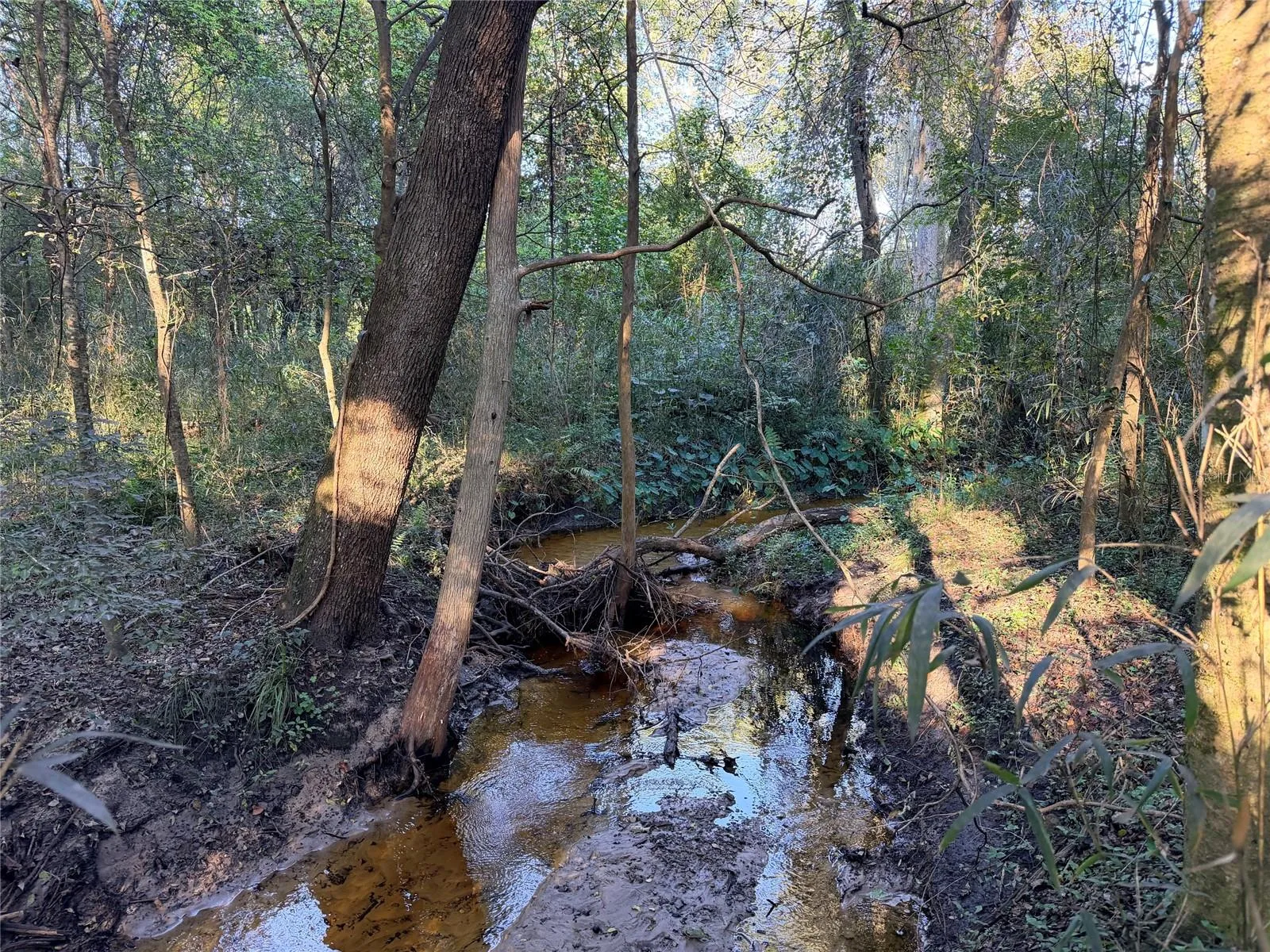 Turkey creek flows through back of property