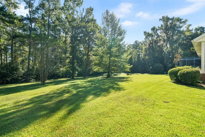 back yard