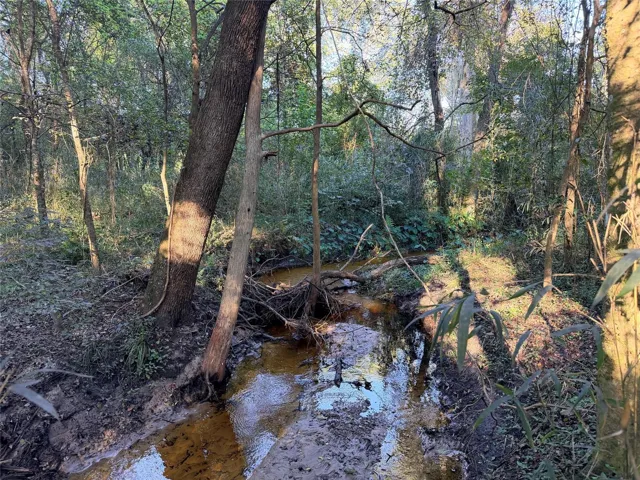 Turkey creek flows through back of property