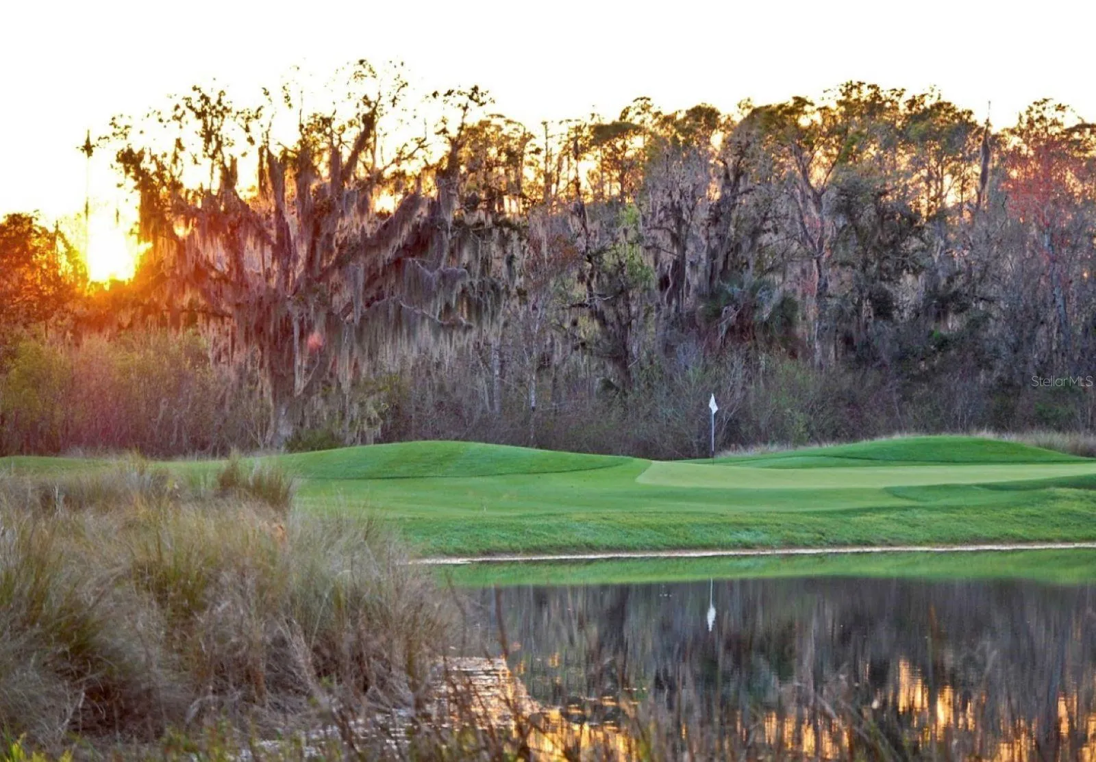 Celebration Golf Club