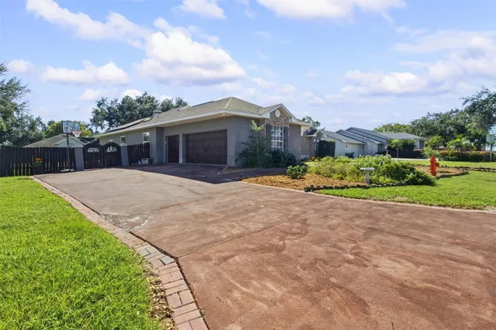 Driveway View