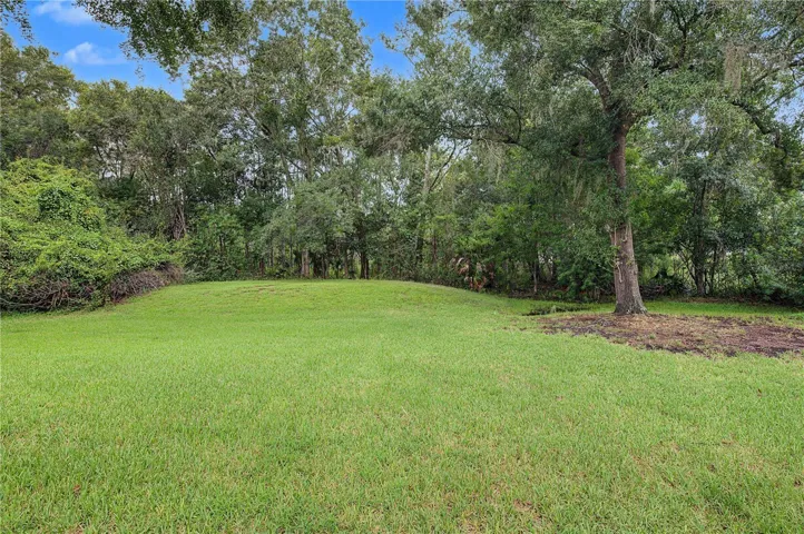 Back yard