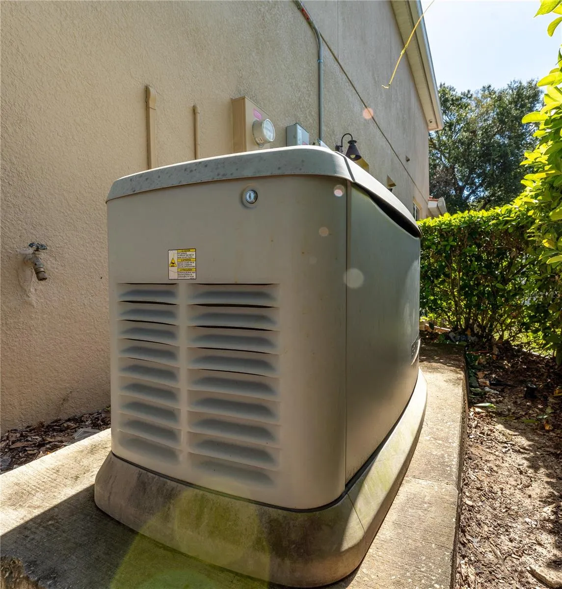 Whole House Generator