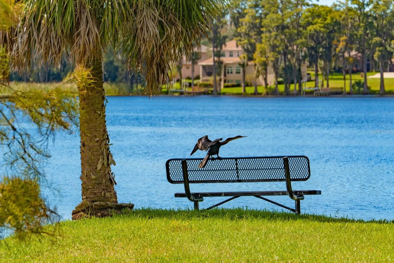 Image having Brooker Creek Bird Sanctuary as your neighbor!