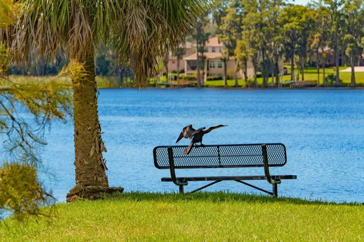 Image having Brooker Creek Bird Sanctuary as your neighbor!