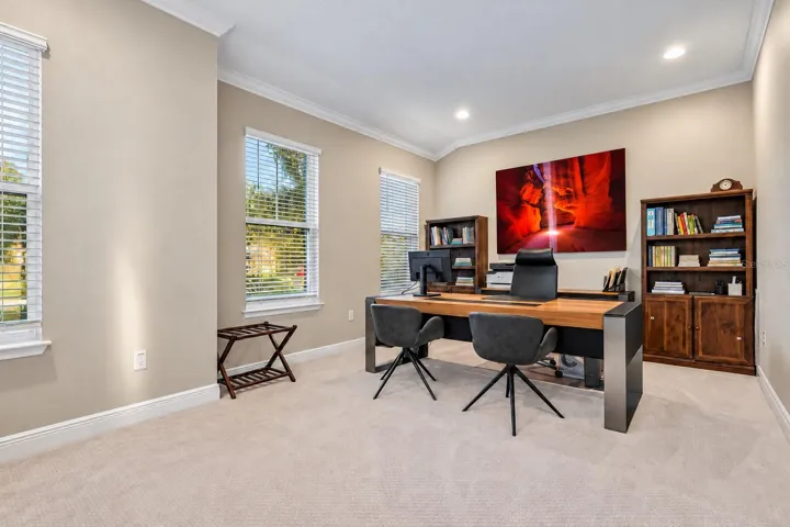 Main floor guest bedroom/flex/office space.