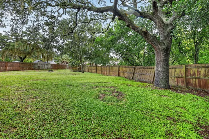 Backyard