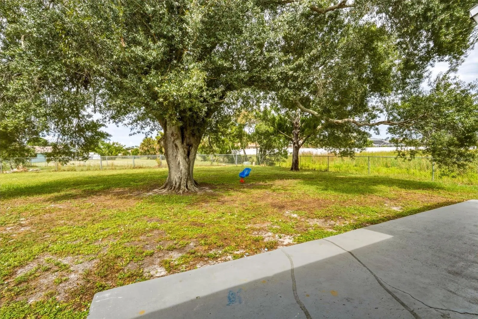 Patio/Backyard
