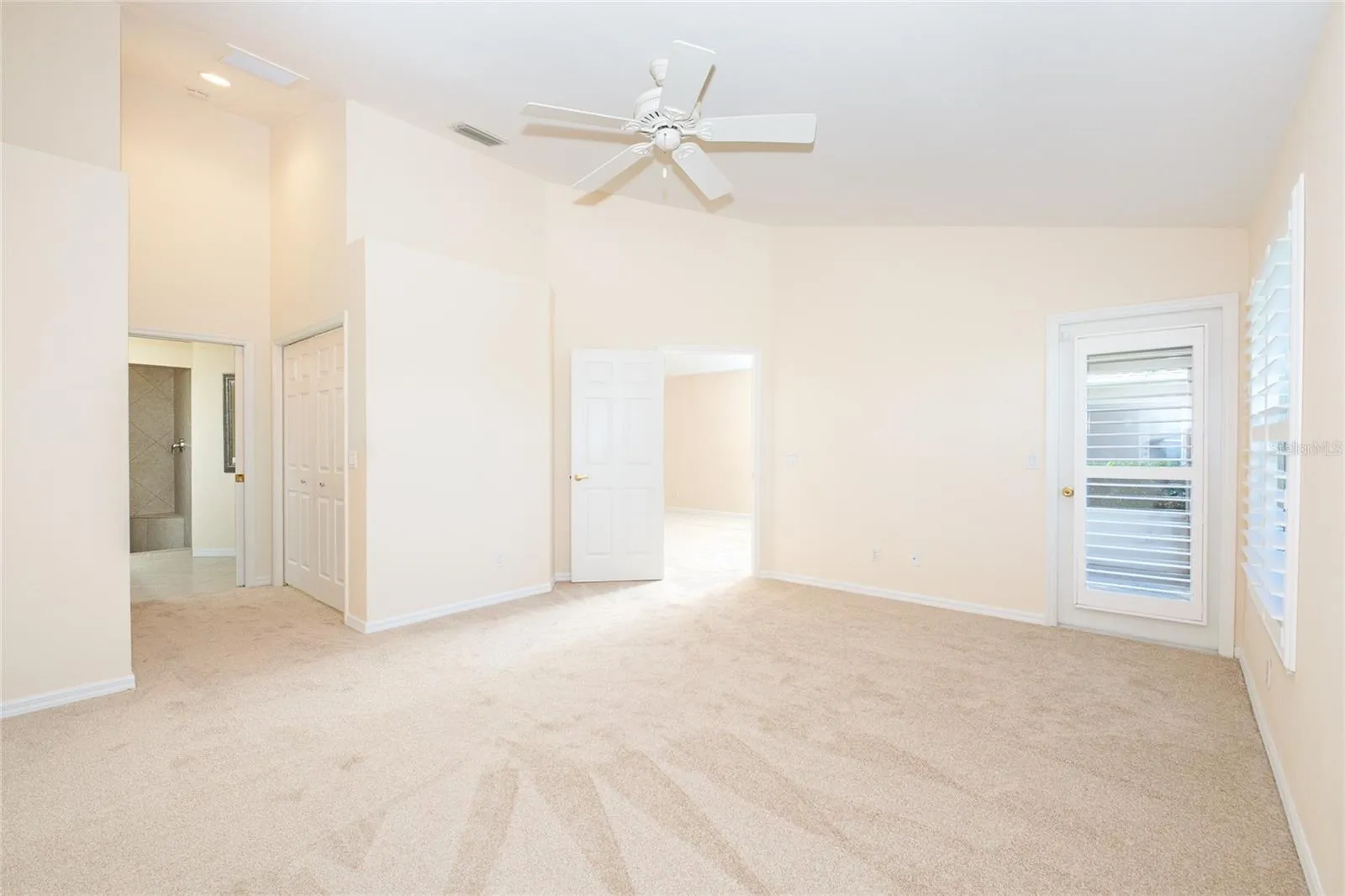 Brand New Carpet