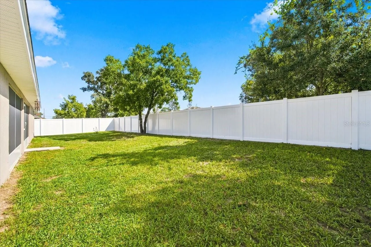 Backyard