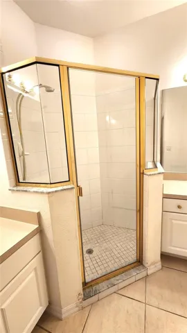 Primary bath walk-in shower.