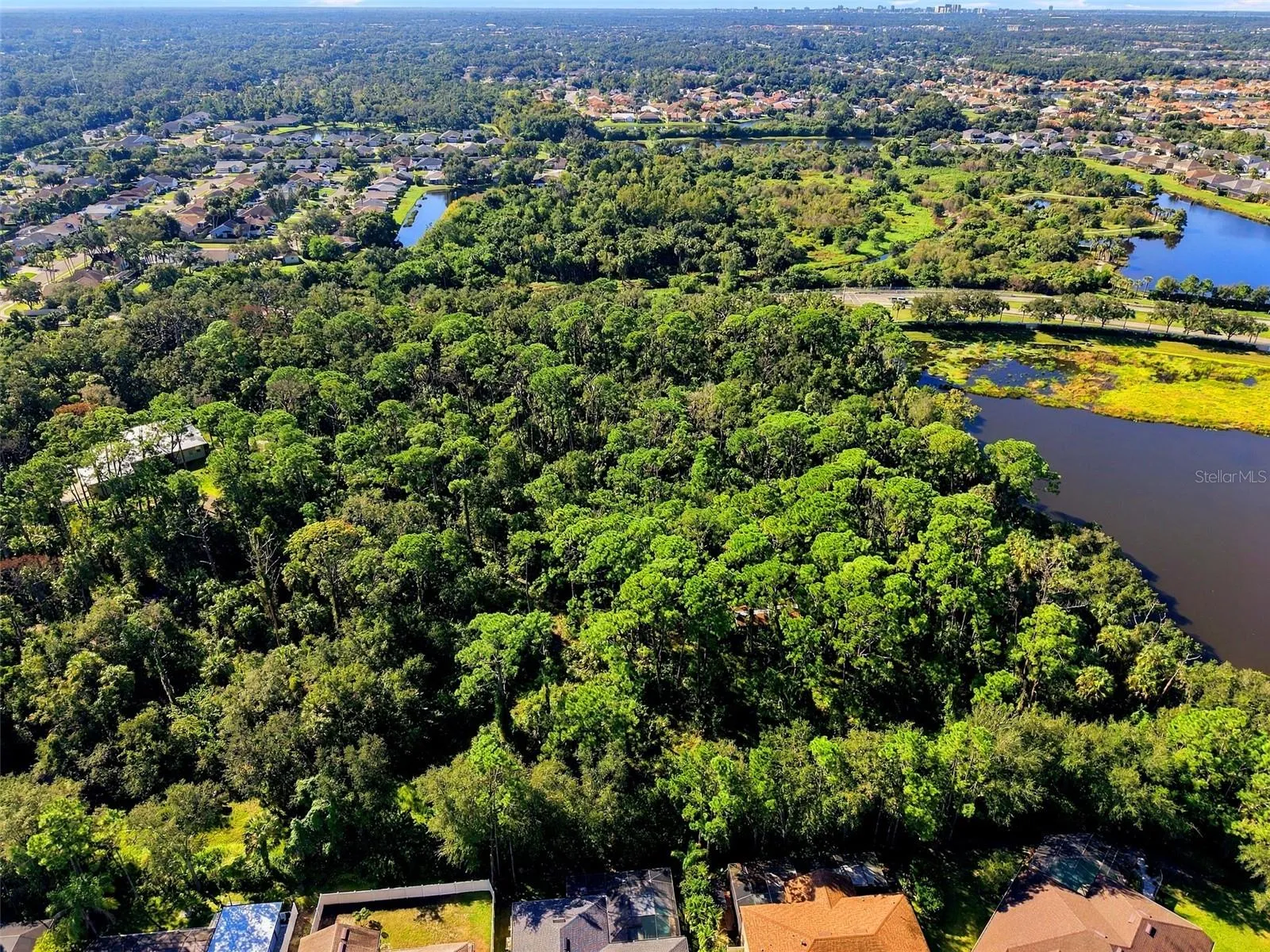 View from North of parcel