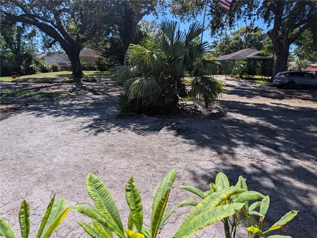 View of driveway and street from home.