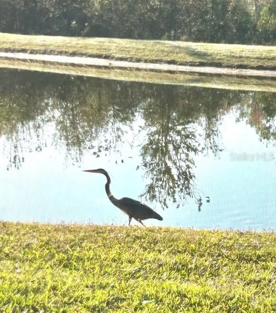 Enjoy the beauty of nature as local wildlife and graceful waterfowl bring this picturesque setting to life.