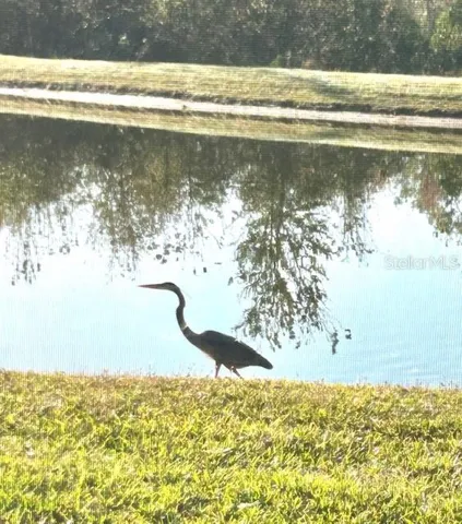 Enjoy the beauty of nature as local wildlife and graceful waterfowl bring this picturesque setting to life.