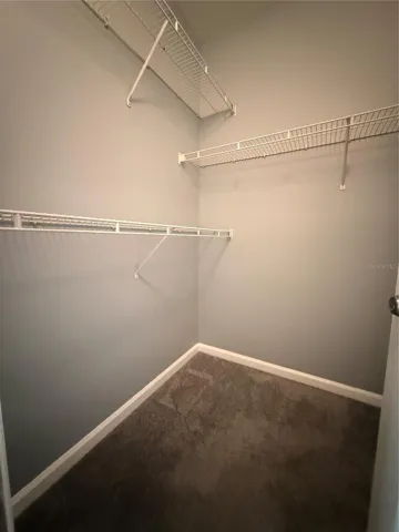 Primary Walk-In Closet