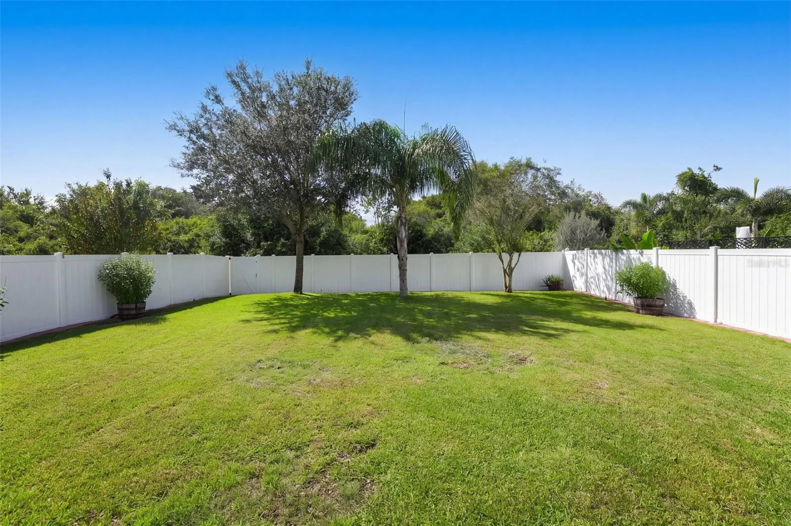 Fenced expansive yard