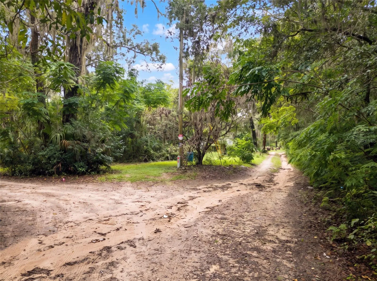 Driveway into Lot from East Entrance