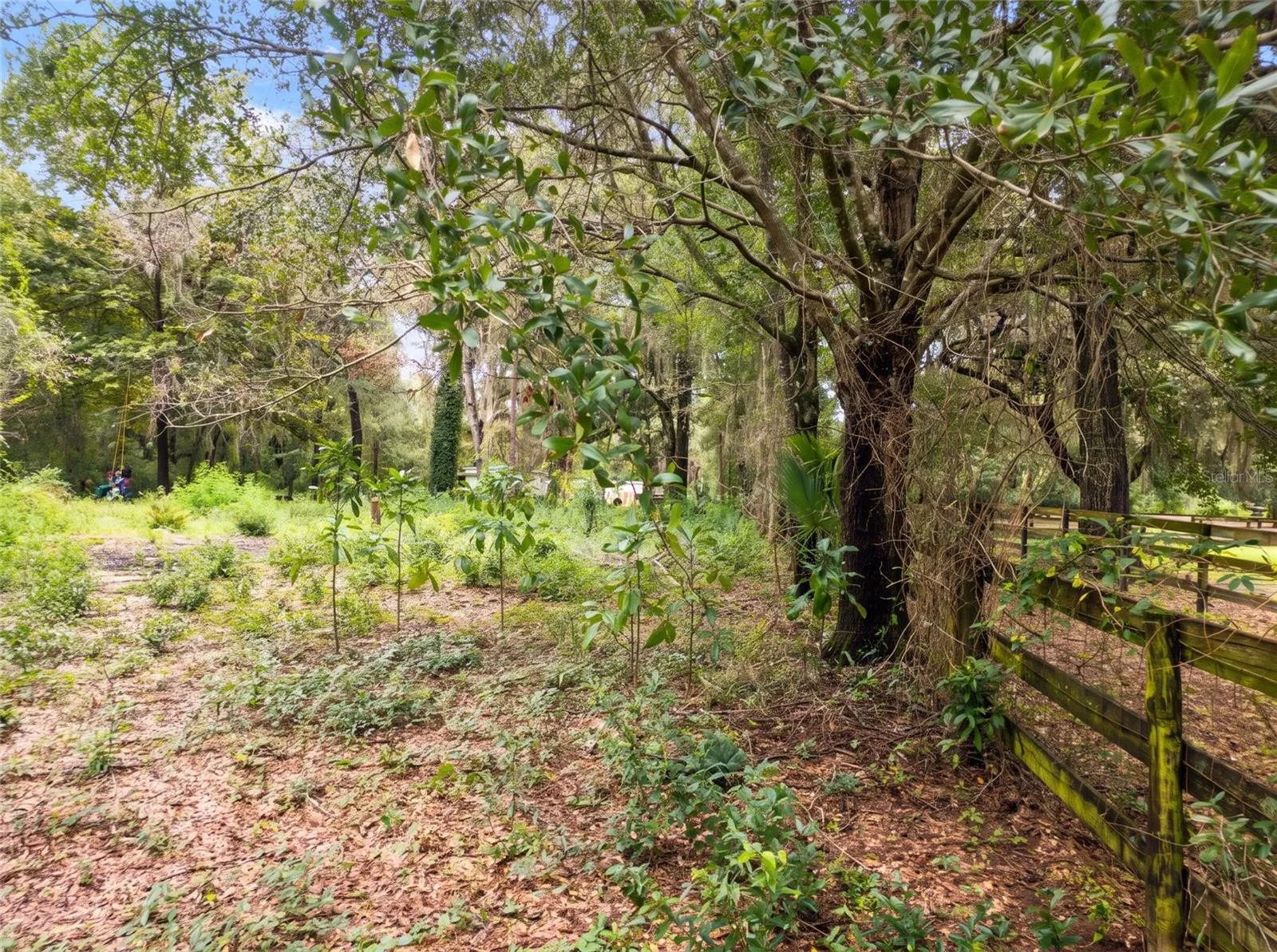 Abutting Horse Laneway from SW Corner