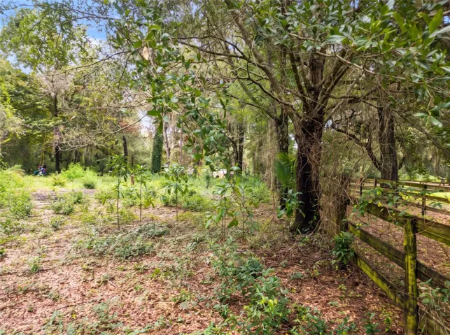 Abutting Horse Laneway from SW Corner