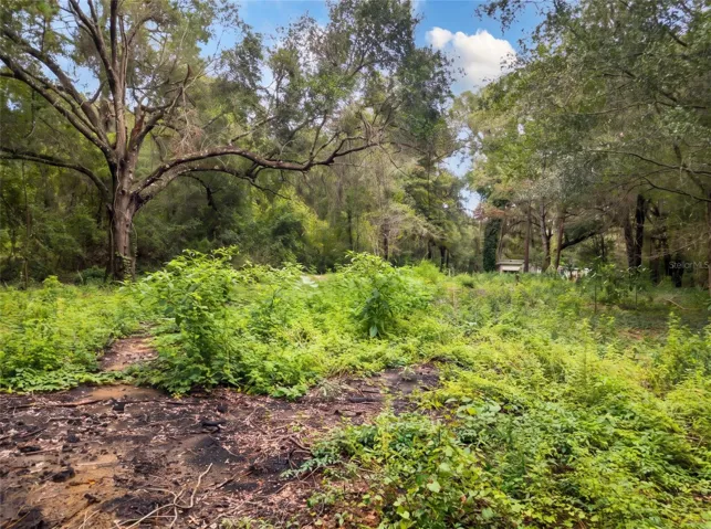 Field from SW Corner of Lot