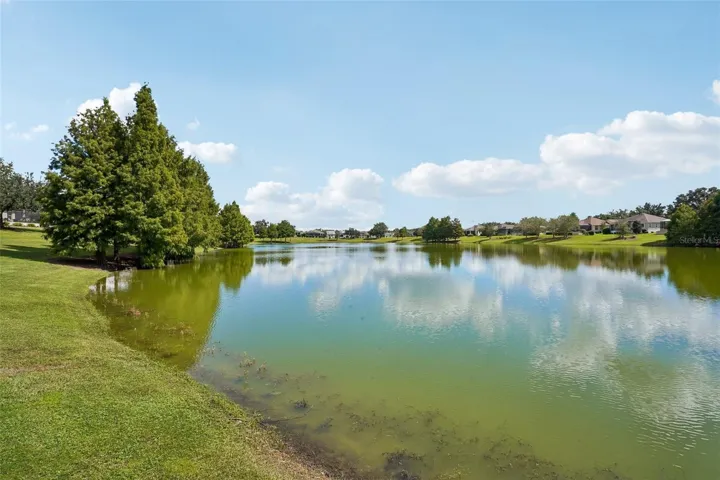 Panoramic Water View