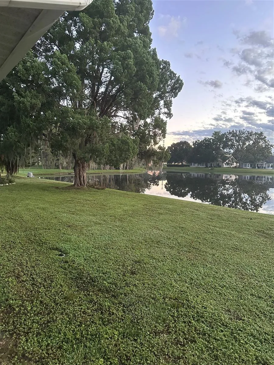 Morning view of backyard