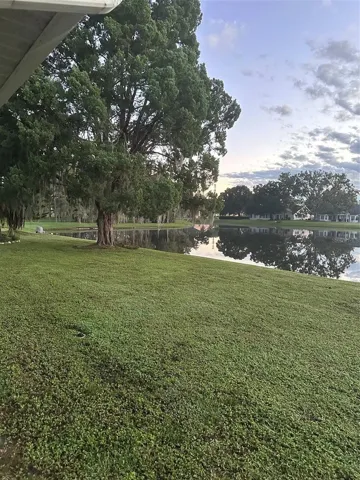 Morning view of backyard