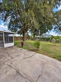 back yard