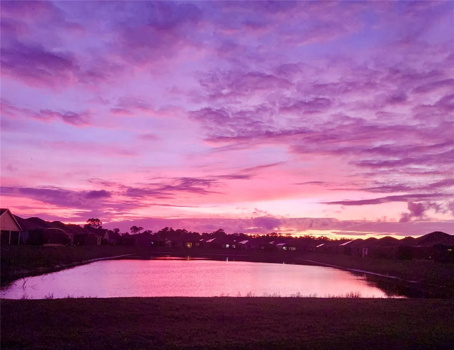 Sunset over the pond