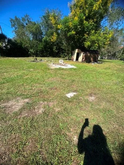 home back yard